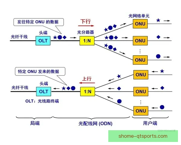 探秘纽克82-95博拉茨泽蒙的历史沿革与区域发展全景解析